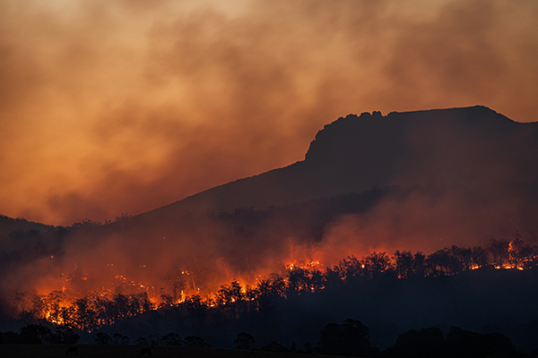 Incendie de forêt