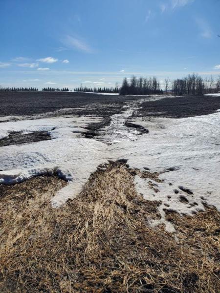Image of a field with snow covering it 