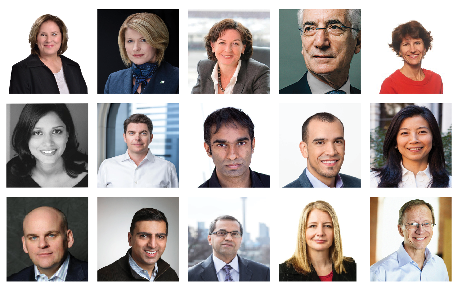portraits of the Impact Canada Advisory Committee