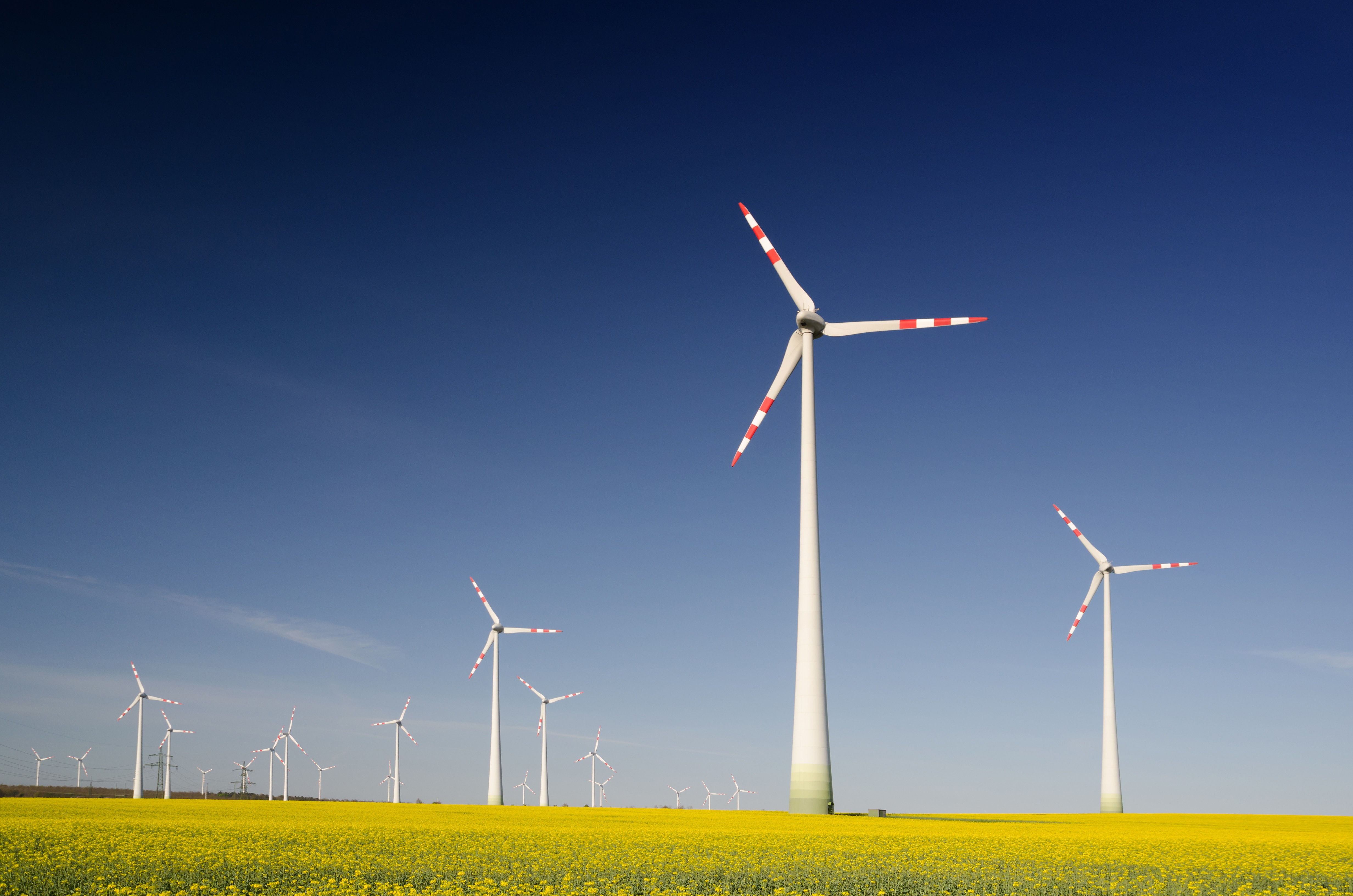 photo of several wind turbines in a field