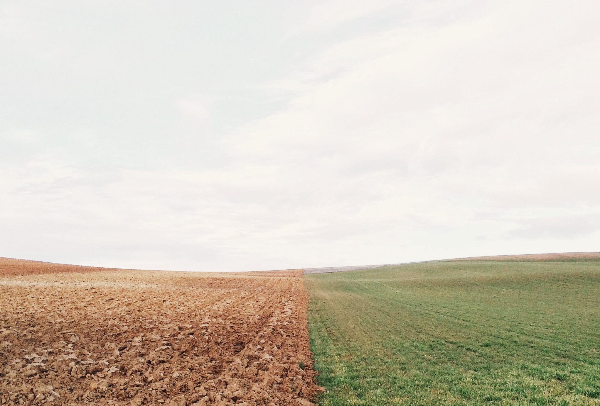 Field 