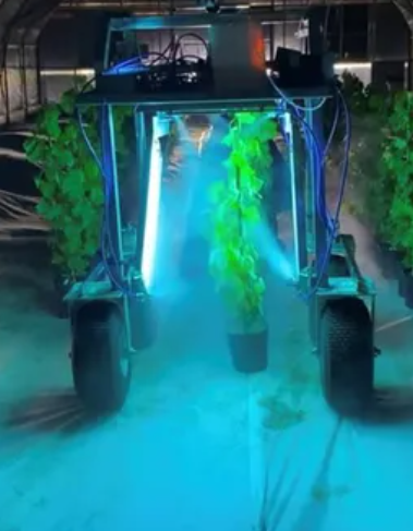 CleanWork technology with plants 