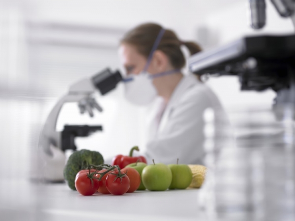 Scientist inspecting food samples in a microscope 
