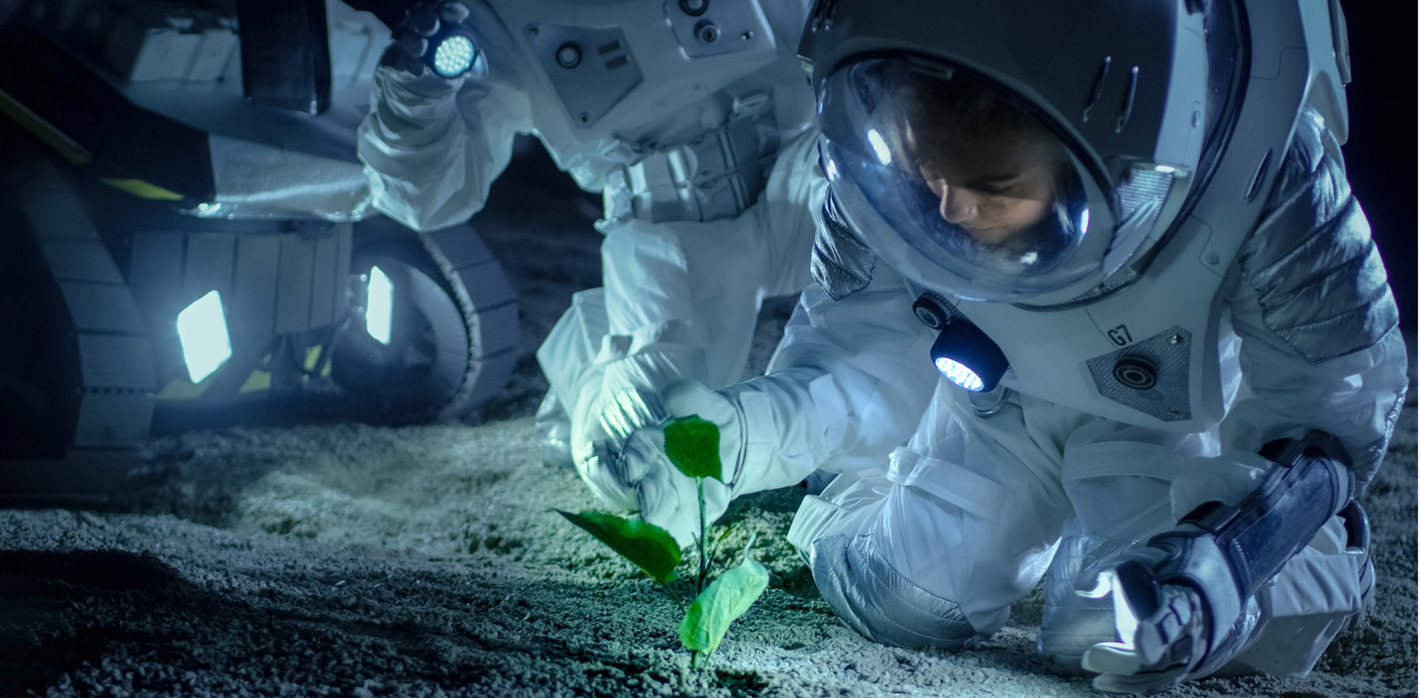 astronauts in space with a plant 