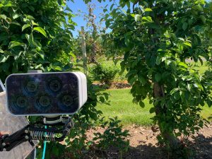 sensor and computer vision system capturing data on plants 