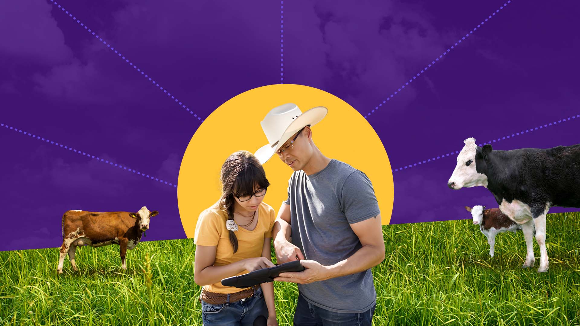 Two farmers looking a tablet on a field with cows in the background and the sun in the background