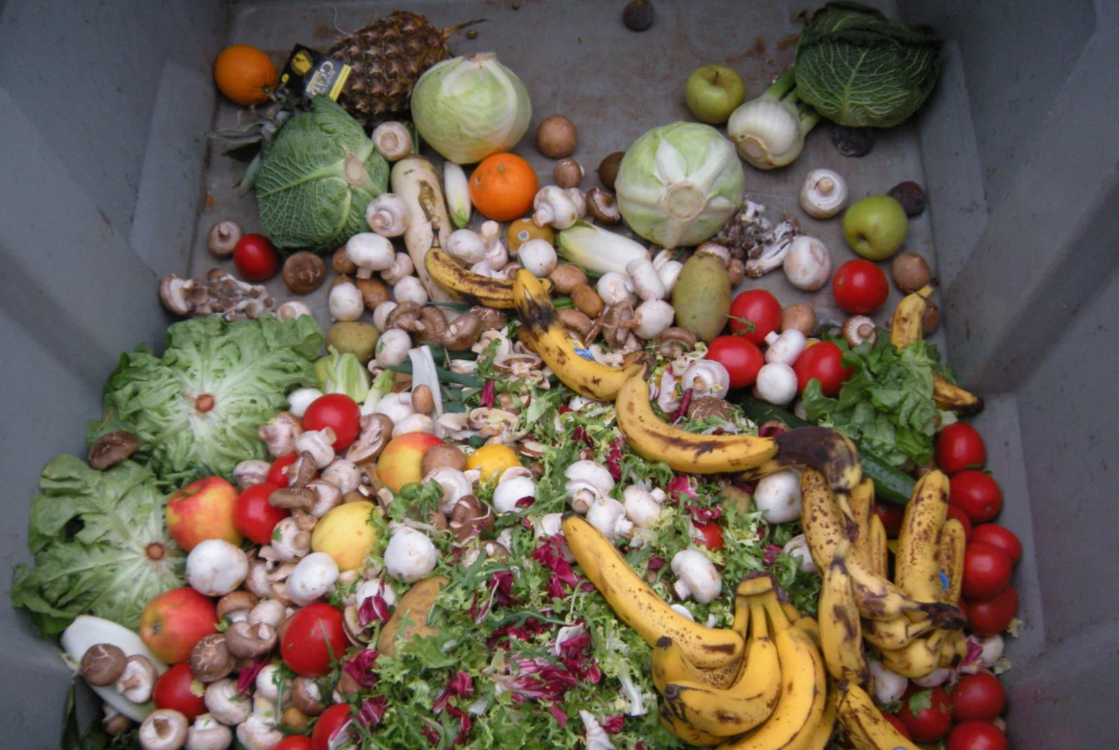 Assortment of vegetables 
