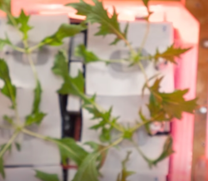 Machine growing plants in space 