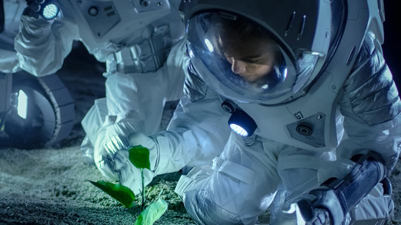 Deux astronautes cultivent une plante 