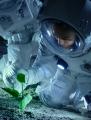 astronauts growing a plant on a planet's surface