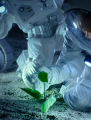 astronauts in space with a plant