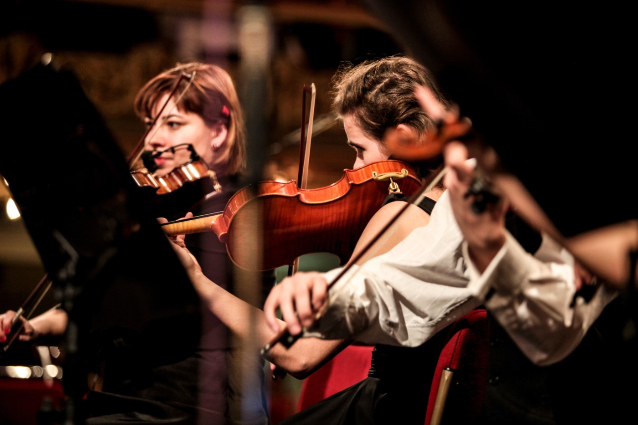 violin players