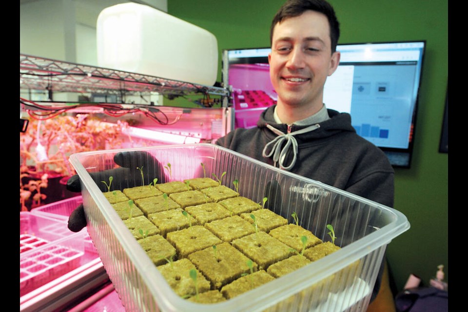 Ecoation Innovative Solutions vice-president Gavin Schneider shows off tomato seedlings grown in his team's modular system, CanGrow 