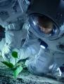 Astronauts inspecting plants on the lunar surface